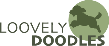 Loovely Doodles