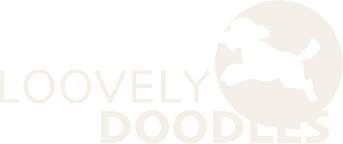 Loovely Doodles